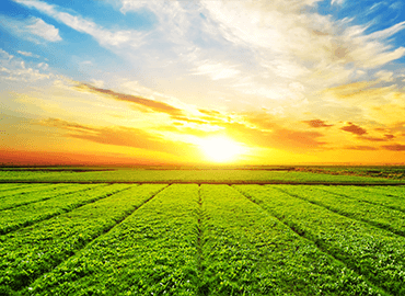 Agriculture Engineering post thumbnail